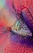 Image result for Lion Eyes Close Up