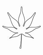 Image result for Japanese Maple Leaf Stencil