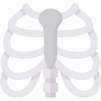 Image result for Flat Rib Cage