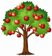 Image result for Apple Tree Images. Free