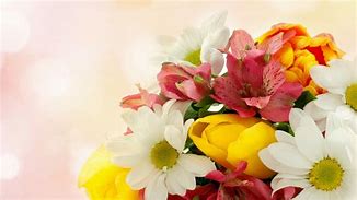 Image result for Bright Colorful Flowers Background