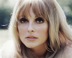 Image result for Sharon Tate Photoshoots