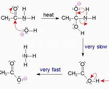 Image result for Hydrolysis of Amide