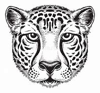 Image result for Cheetah Artwork Black and White