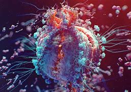 Image result for Oncology