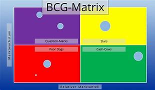 Image result for BCG Matrix Book