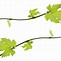 Image result for Grape Leaf Clip Art