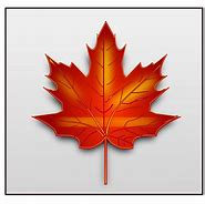 Image result for Maple Leaf Clip Art