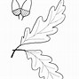 Image result for Post Oak Leaf Designs