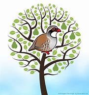 Image result for Partridge Bird in a Pear Tree