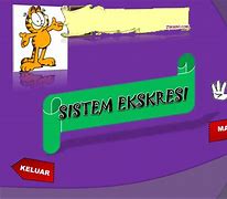 Image result for Gambar Sistem Ekskresi