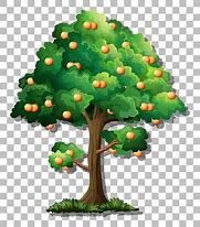 Image result for Orange Tree Vector