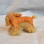 Image result for Show-Type Cocker Spaniel