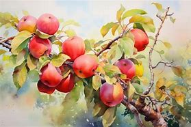 Image result for Willow Tree Watercolor