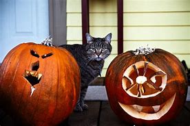 Image result for Pumpkin Cat Earrings