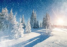 Image result for Winter Trees Wallpaper Green Snowy