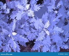 Image result for Oak Leaf Design