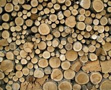 Image result for Wood Sign Posts for Yards