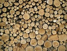 Image result for Wood Board Types