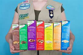 Image result for Girl Scout Cookie Clip Art