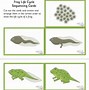 Image result for Frog Bookmarks Free Printable