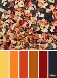 Image result for Autumn Colors Images