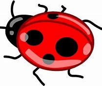 Image result for Ladybug On Leaf Clip Art