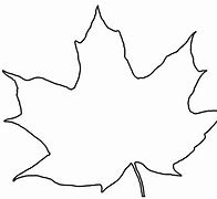 Image result for Basic Leaf Outline