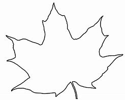 Image result for Leaf Colouring Sheet