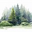 Image result for Evergreen Tree Silhouette