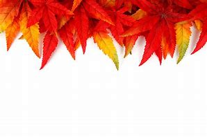 Image result for Fall Leaf Silhouette