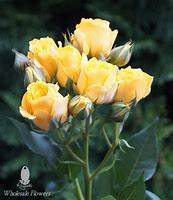 Image result for yellow spray roses bouquet