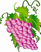 Image result for Sour Grapes Cartoon