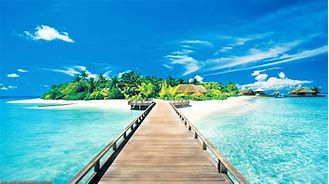 Image result for Tropical Island Wall Art