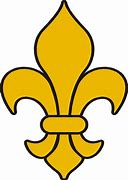 Image result for Iron Door Design Fleur De Lis