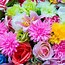 Image result for Bright Colorful Flowers Background