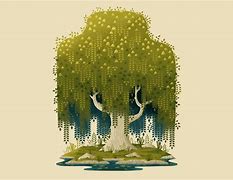 Image result for Willow Tree Branch Illustration