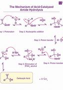 Image result for Product of Amide Hydrolysis