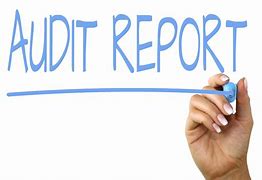 Image result for Audit Cartoon Funny