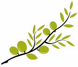 Image result for Very Fancy Olive Branch