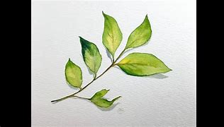 Image result for Watercolor Leaf Images