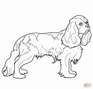 Image result for Cocker Spaniel Dog Coloring Pages