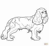 Image result for Cocker Spaniel Dog Coloring Pages