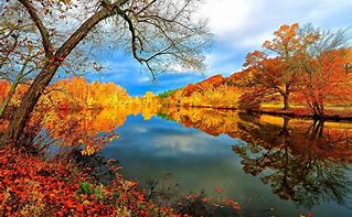 Image result for Autumn Turkey Scenes