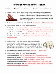 Image result for Natural Selection Worksheet Answer Key