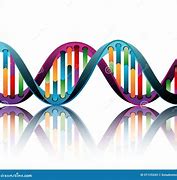 Image result for DNA Graphic Design