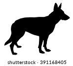 Image result for German Shepherd Types