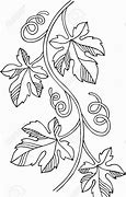 Image result for Vine Leaves Drawing