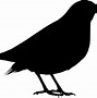 Image result for Cartoon Bird Silhouette