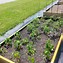 Image result for Community Garden Plots